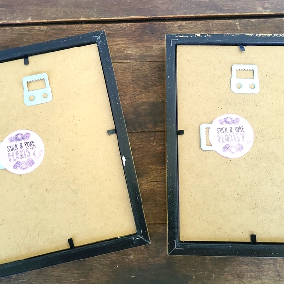 Dried Flower Taxidermy Framed Shadow Box Art Set of 2 - Picture 11 of 11